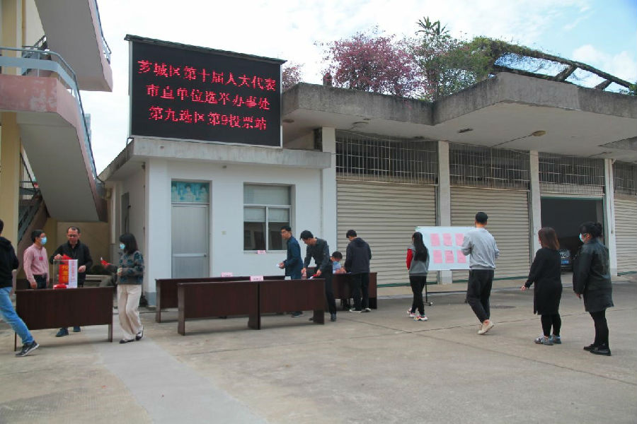 选举.jpg